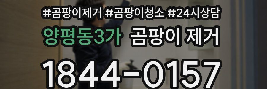 양평동3가 곰팡이 제거