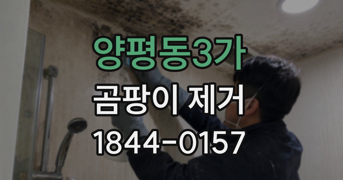 양평동3가 곰팡이 제거