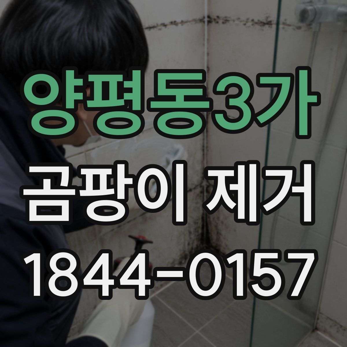 양평동3가 곰팡이 제거