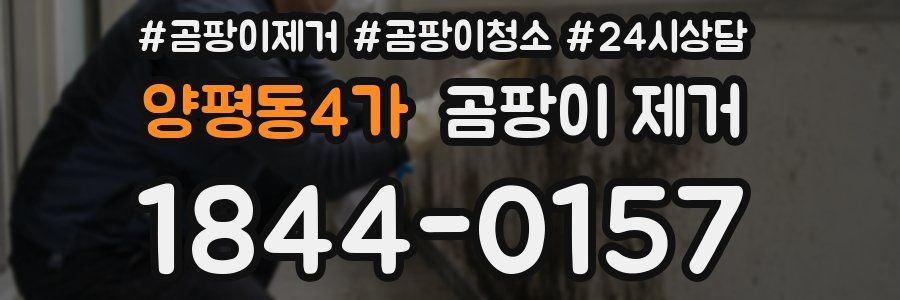 양평동4가 곰팡이 제거