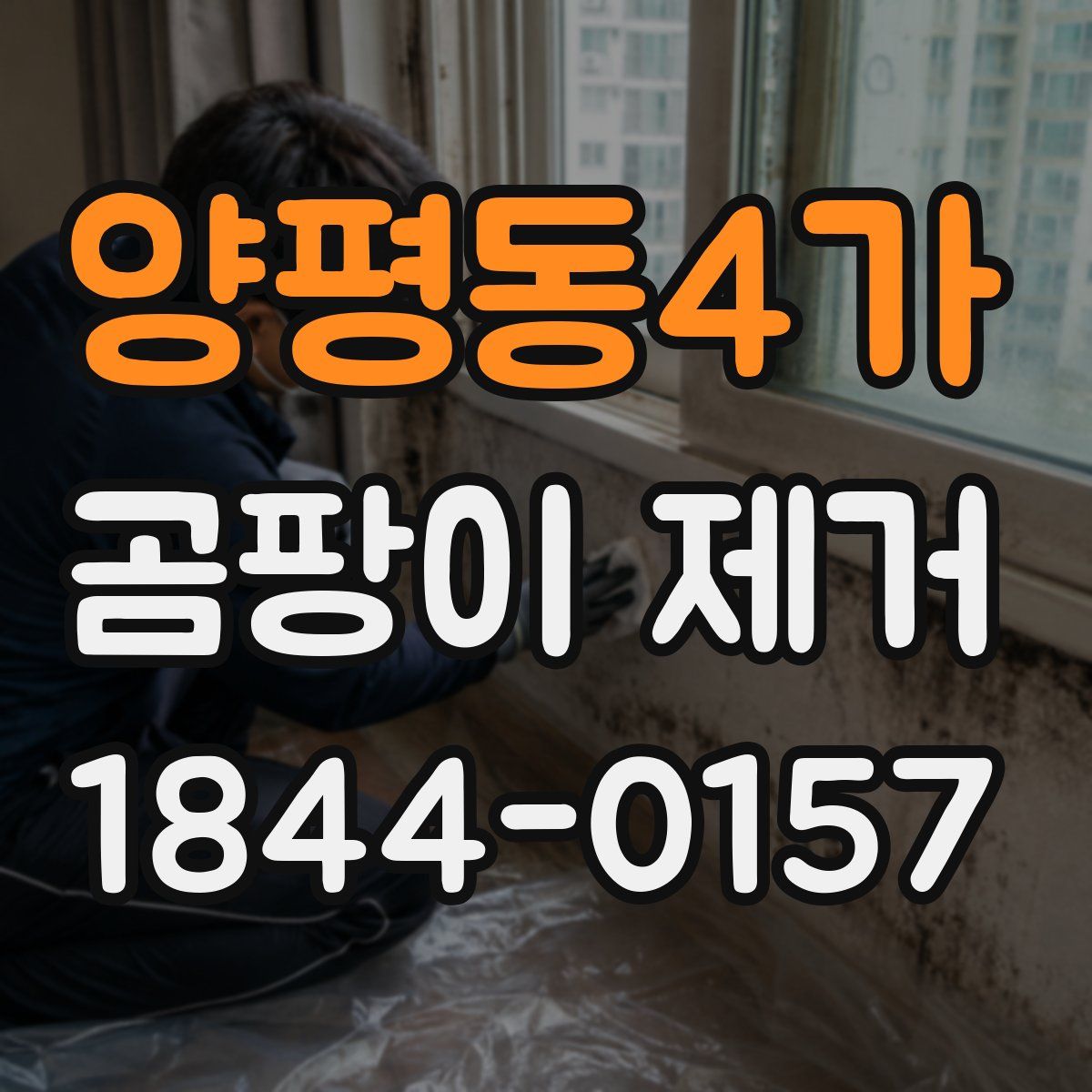 양평동4가 곰팡이 제거