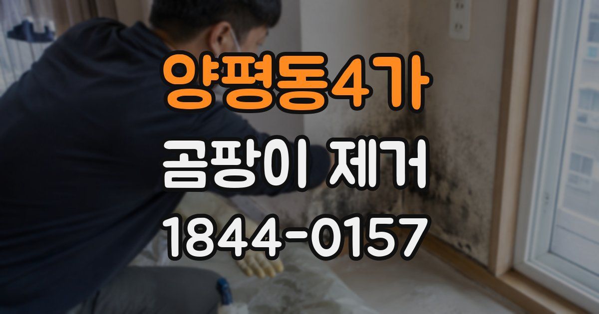 양평동4가 곰팡이 제거