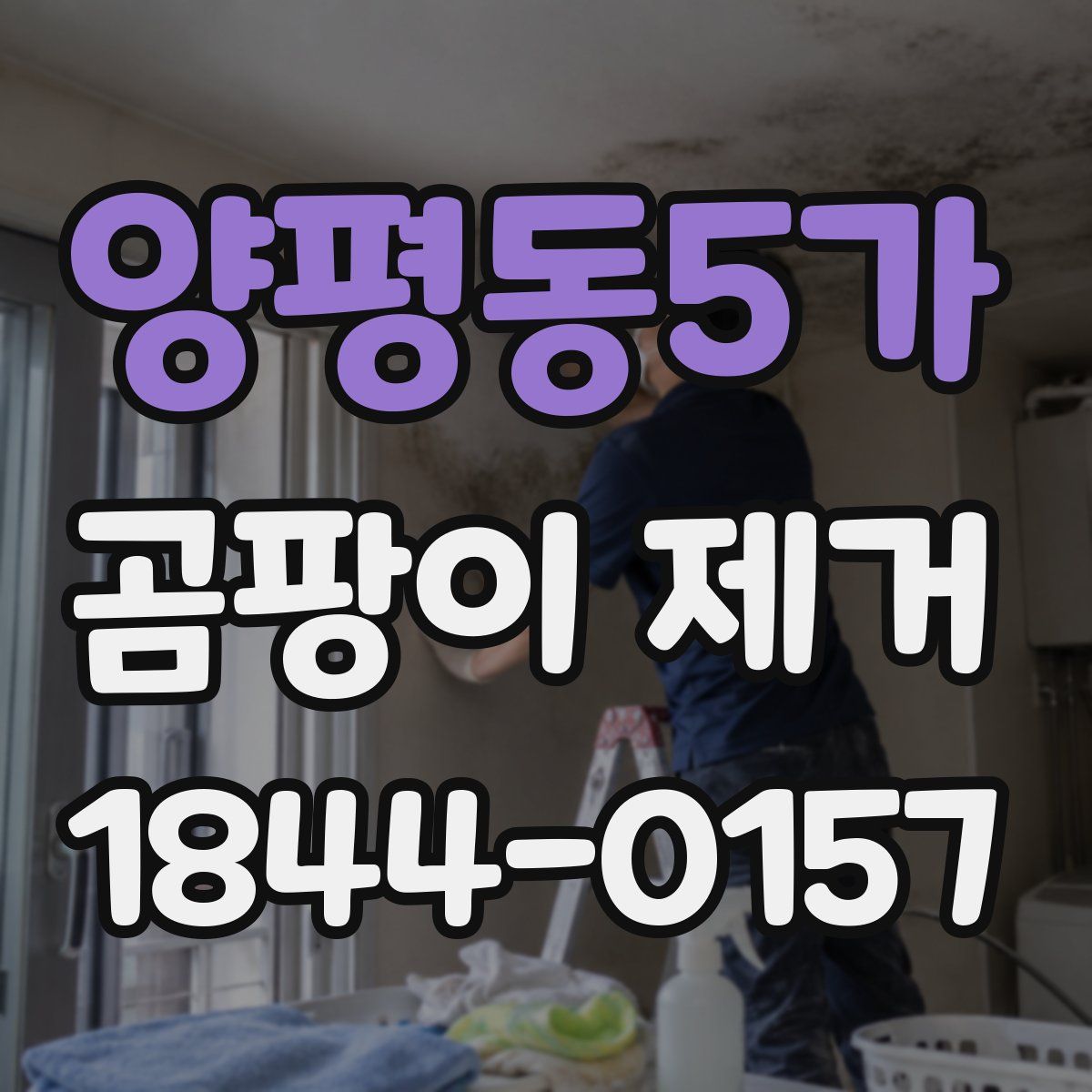 양평동5가 곰팡이 제거