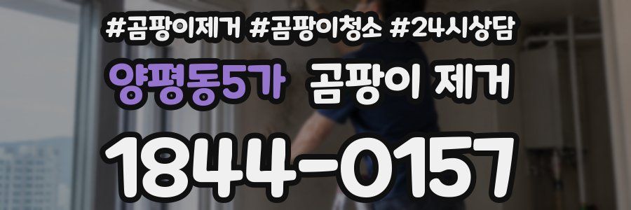 양평동5가 곰팡이 제거