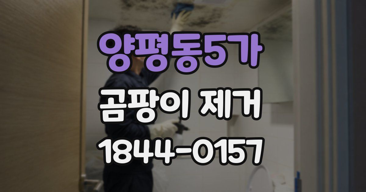 양평동5가 곰팡이 제거