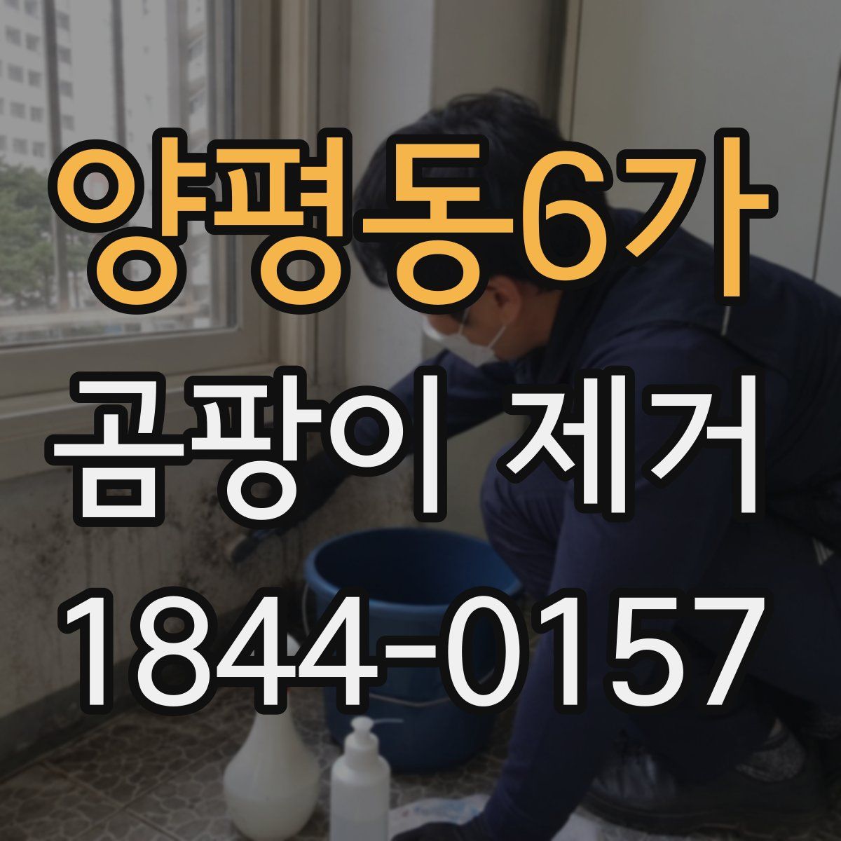 양평동6가 곰팡이 제거