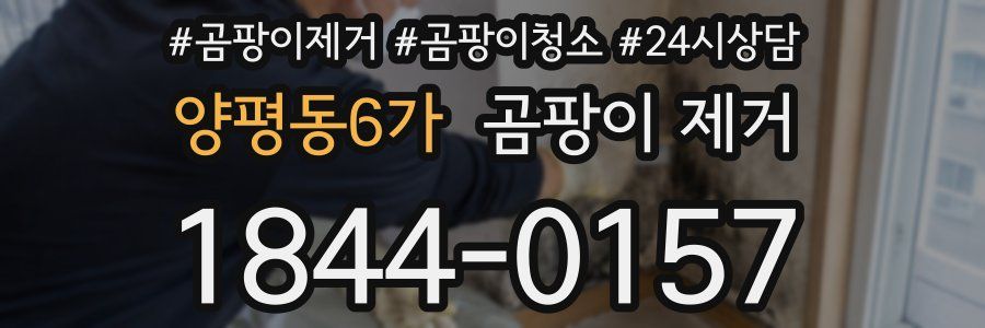 양평동6가 곰팡이 제거