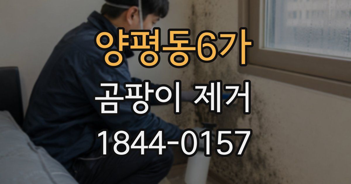 양평동6가 곰팡이 제거
