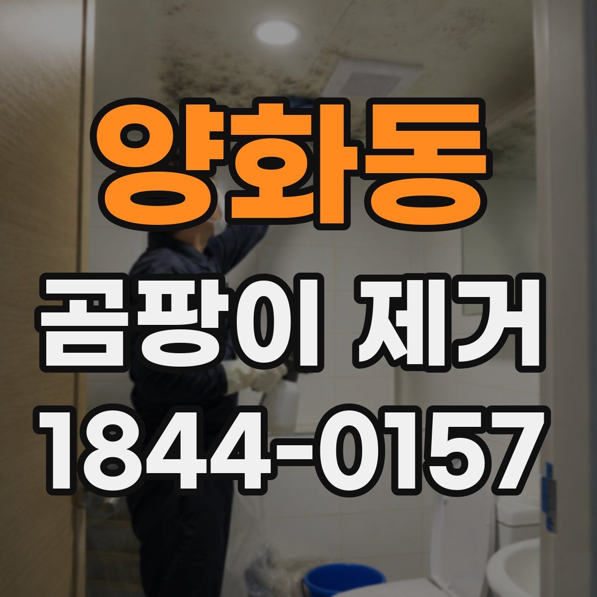 양화동 곰팡이 제거