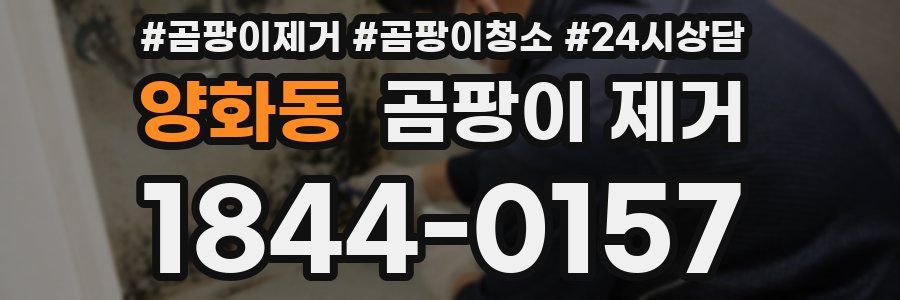 양화동 곰팡이 제거