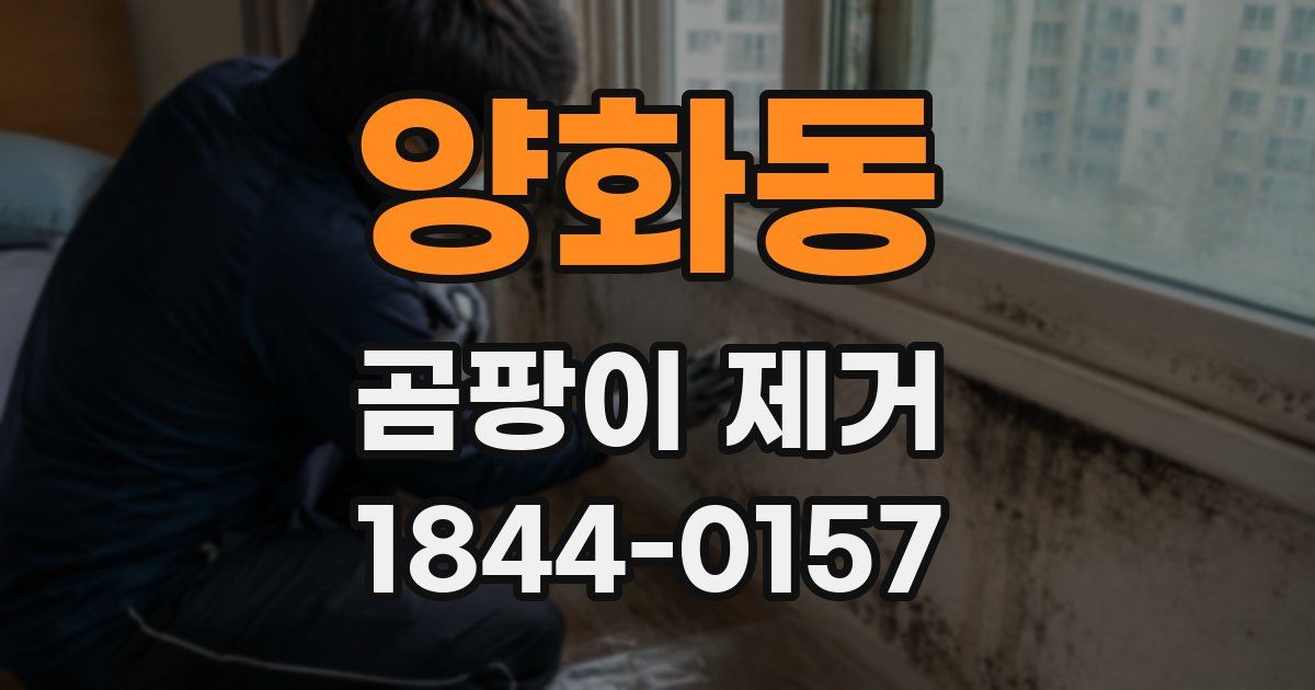 양화동 곰팡이 제거