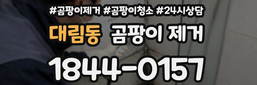 대림동 곰팡이 제거