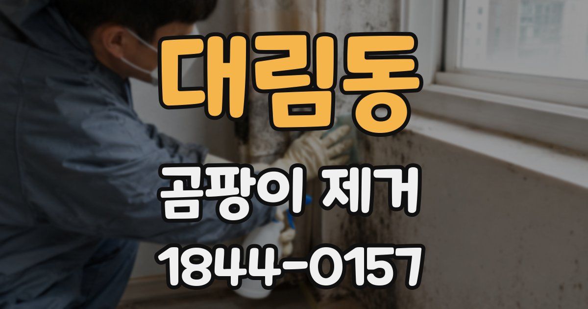 대림동 곰팡이 제거