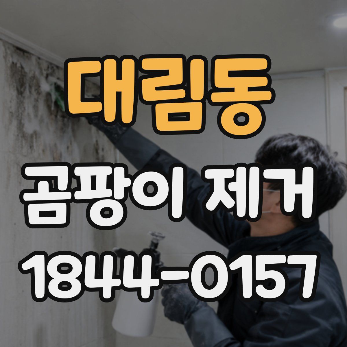 대림동 곰팡이 제거