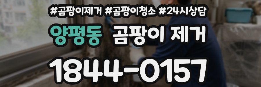 양평동 곰팡이 제거