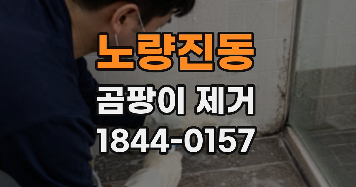 노량진동 곰팡이 제거