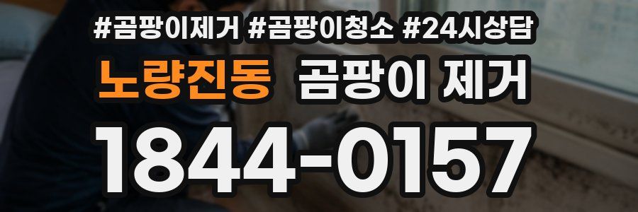 노량진동 곰팡이 제거