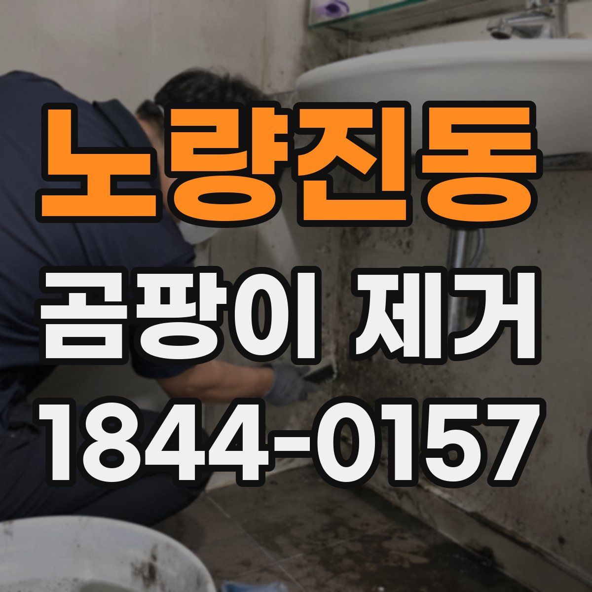 노량진동 곰팡이 제거