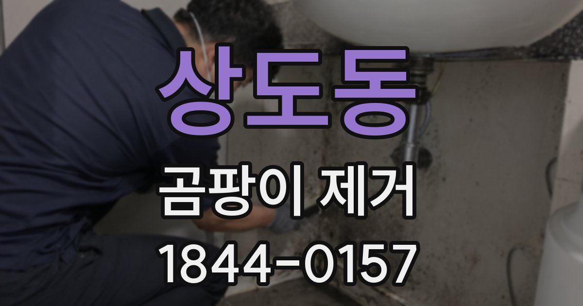상도동 곰팡이 제거