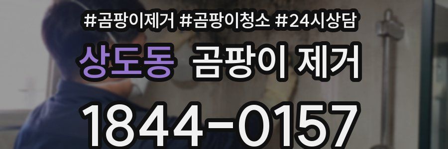 상도동 곰팡이 제거