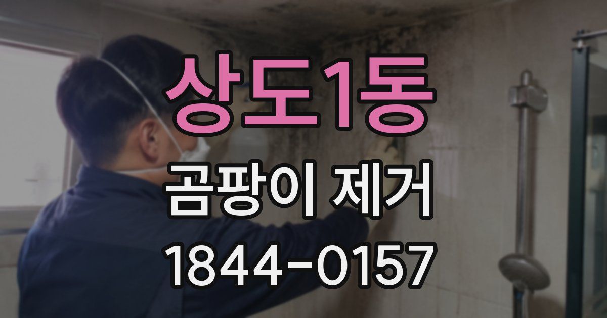 상도1동 곰팡이 제거