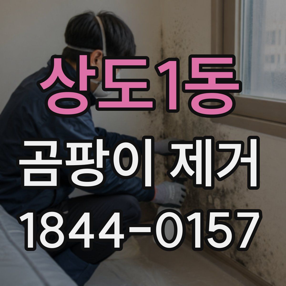 상도1동 곰팡이 제거