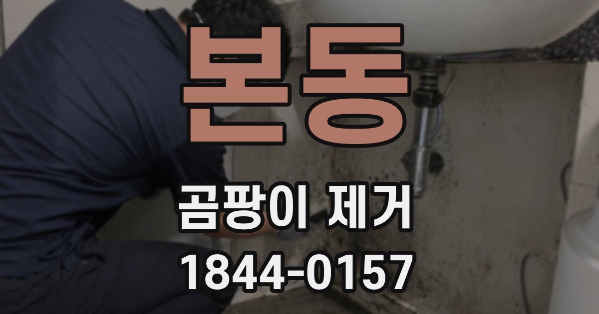 본동 곰팡이 제거