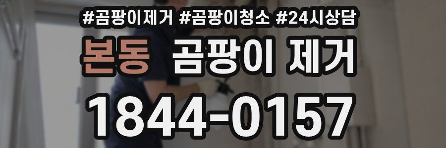 본동 곰팡이 제거