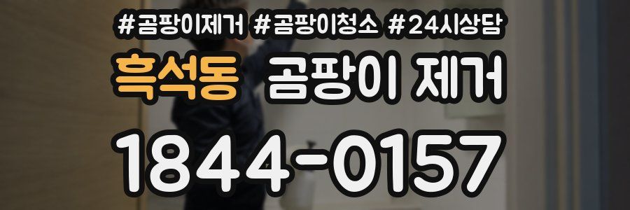 흑석동 곰팡이 제거