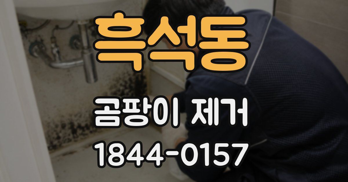흑석동 곰팡이 제거