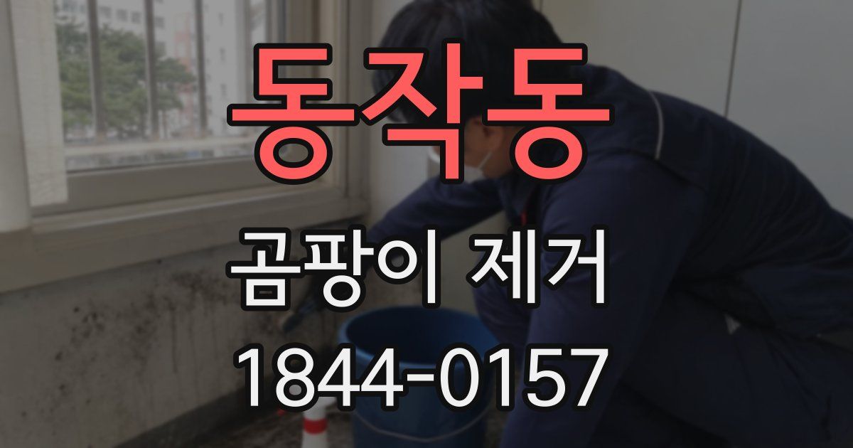 동작동 곰팡이 제거
