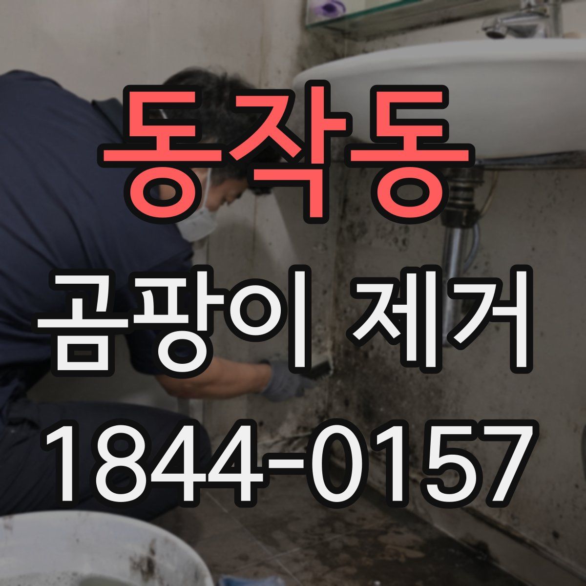 동작동 곰팡이 제거