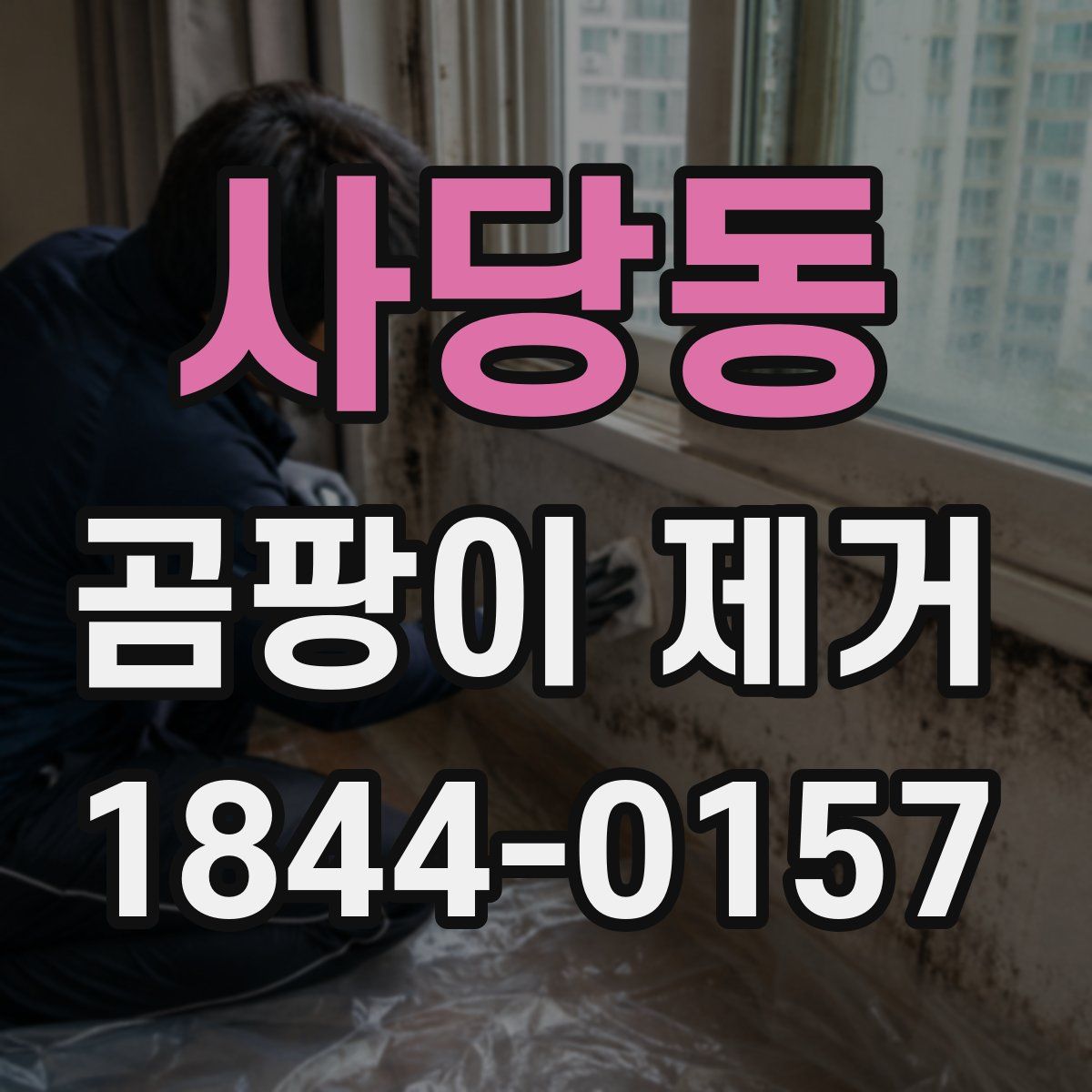 사당동 곰팡이 제거