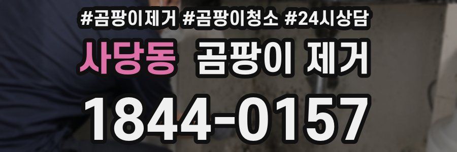 사당동 곰팡이 제거