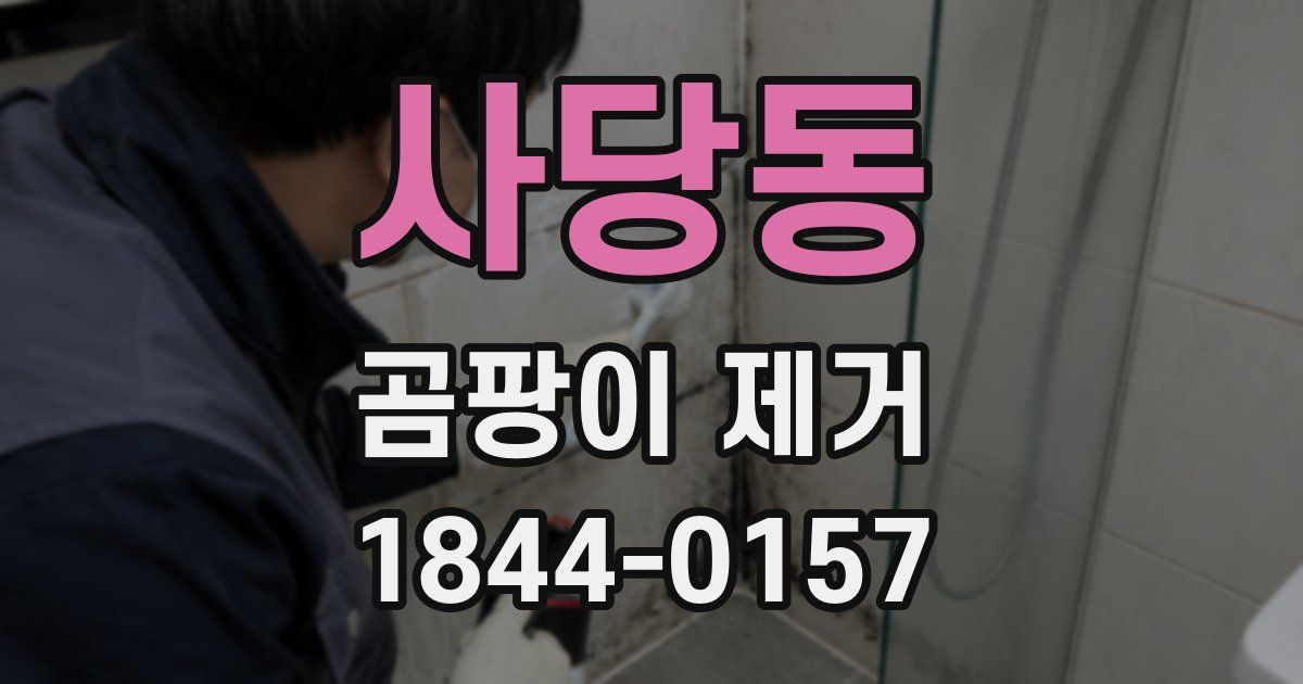 사당동 곰팡이 제거