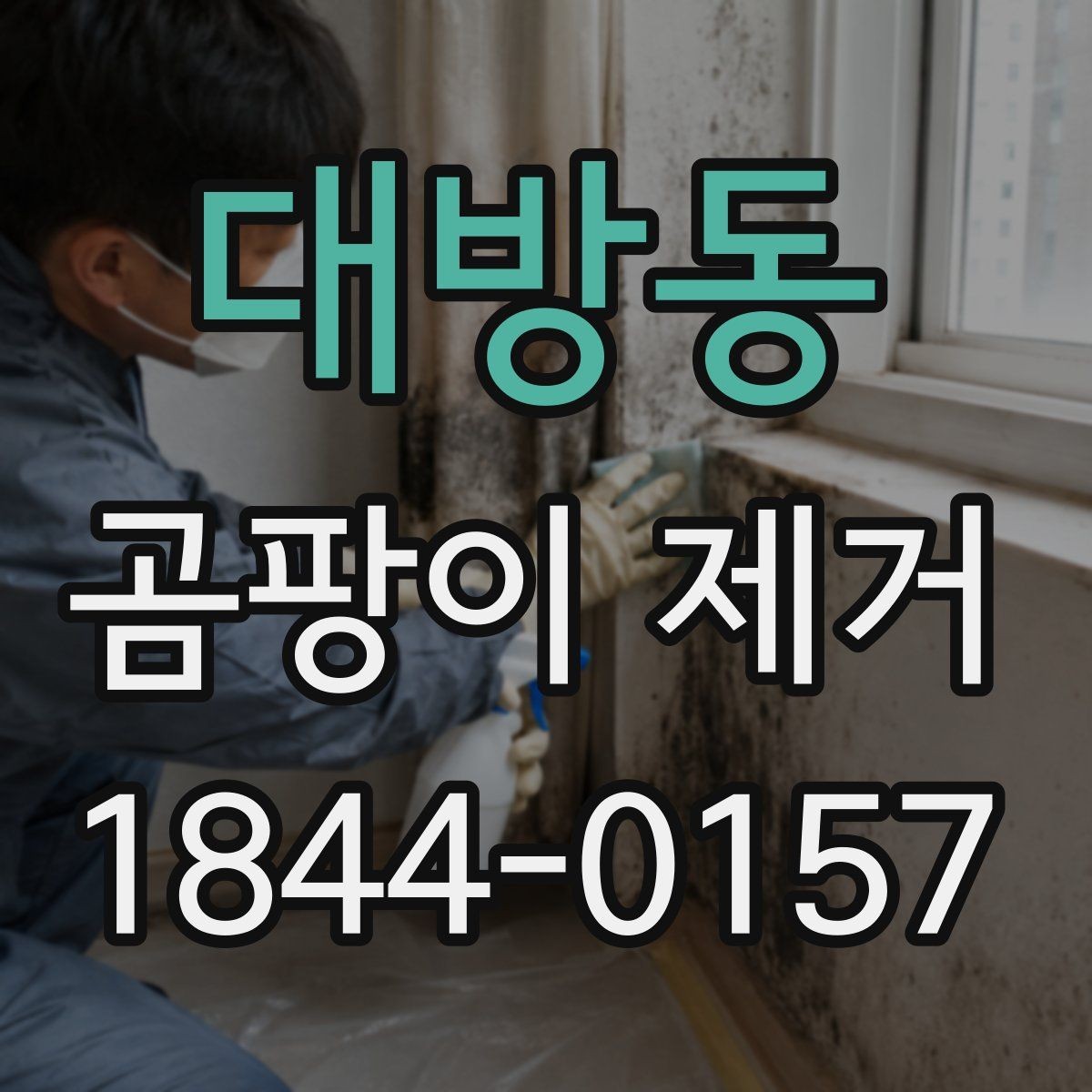 대방동 곰팡이 제거 뒤 다시 생길 때 생기게 된 이유부터 보기