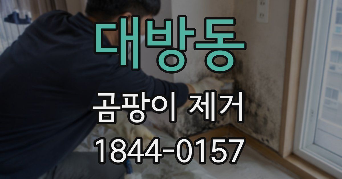 대방동 곰팡이 제거