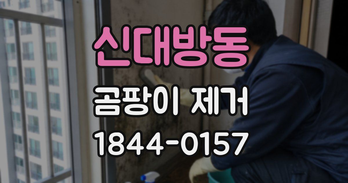 신대방동 곰팡이 제거