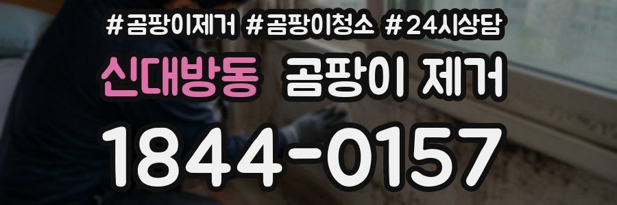 신대방동 곰팡이 제거