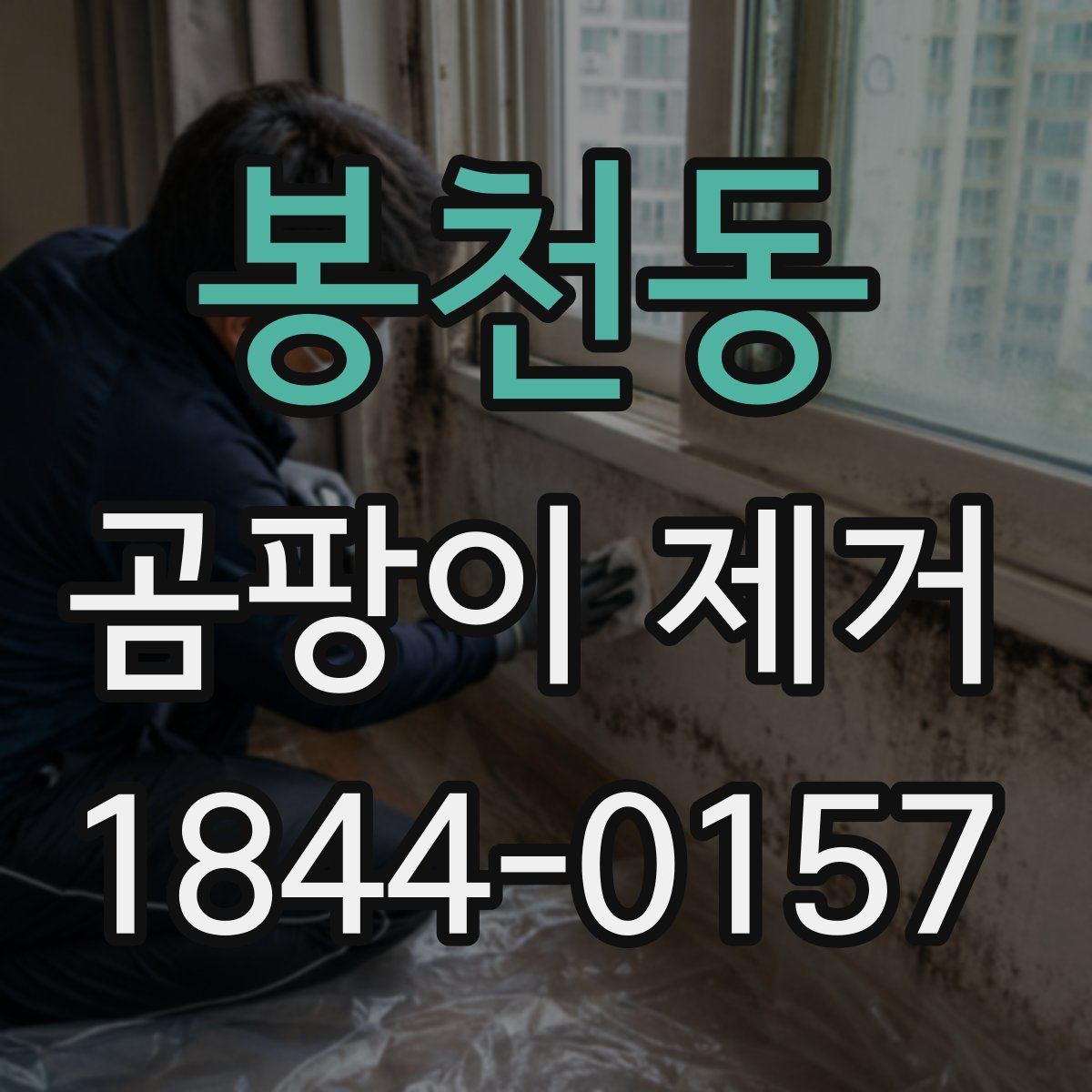 봉천동 곰팡이 제거