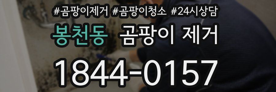 봉천동 곰팡이 제거