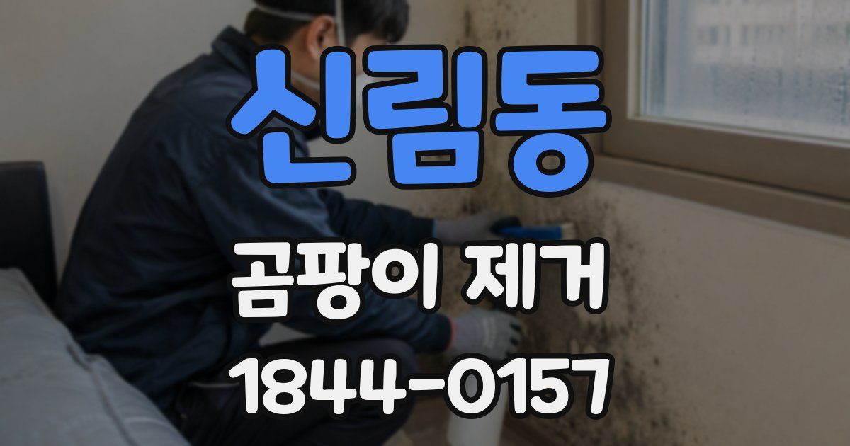 신림동 곰팡이 제거