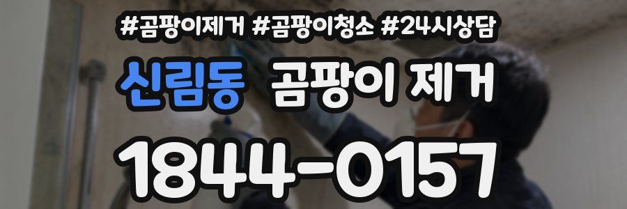 신림동 곰팡이 제거