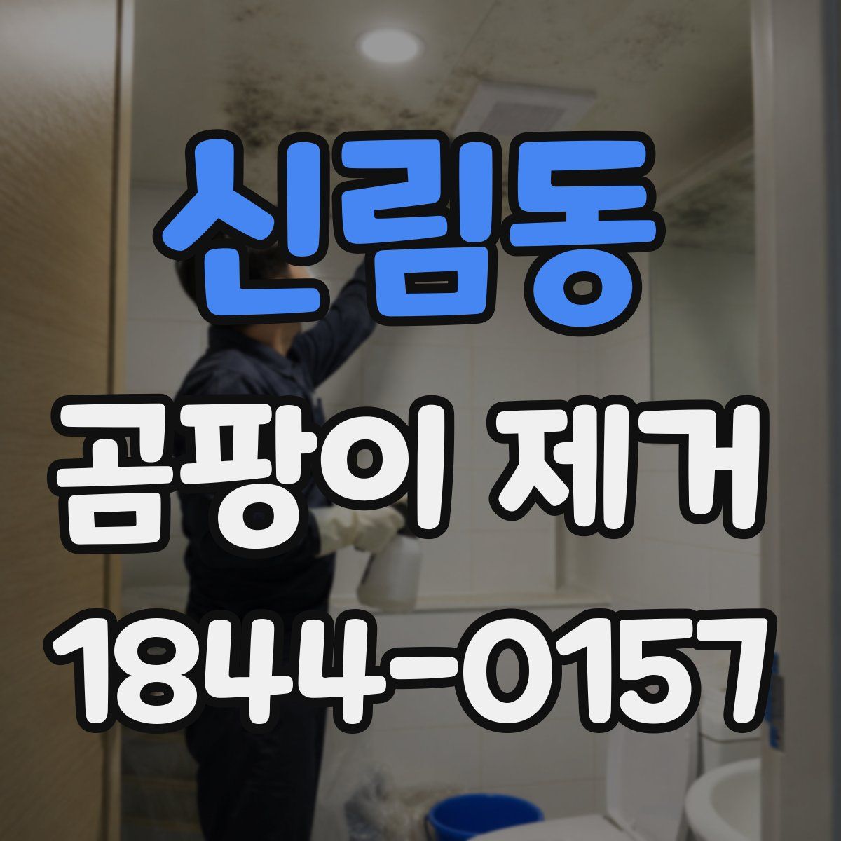 신림동 곰팡이 제거
