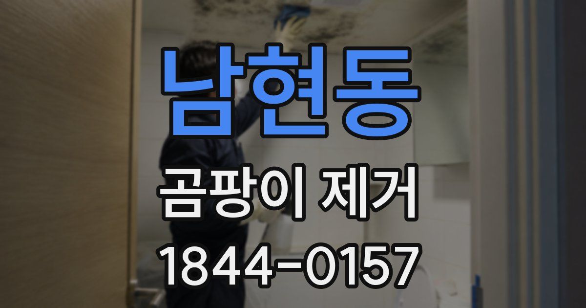남현동 곰팡이 제거