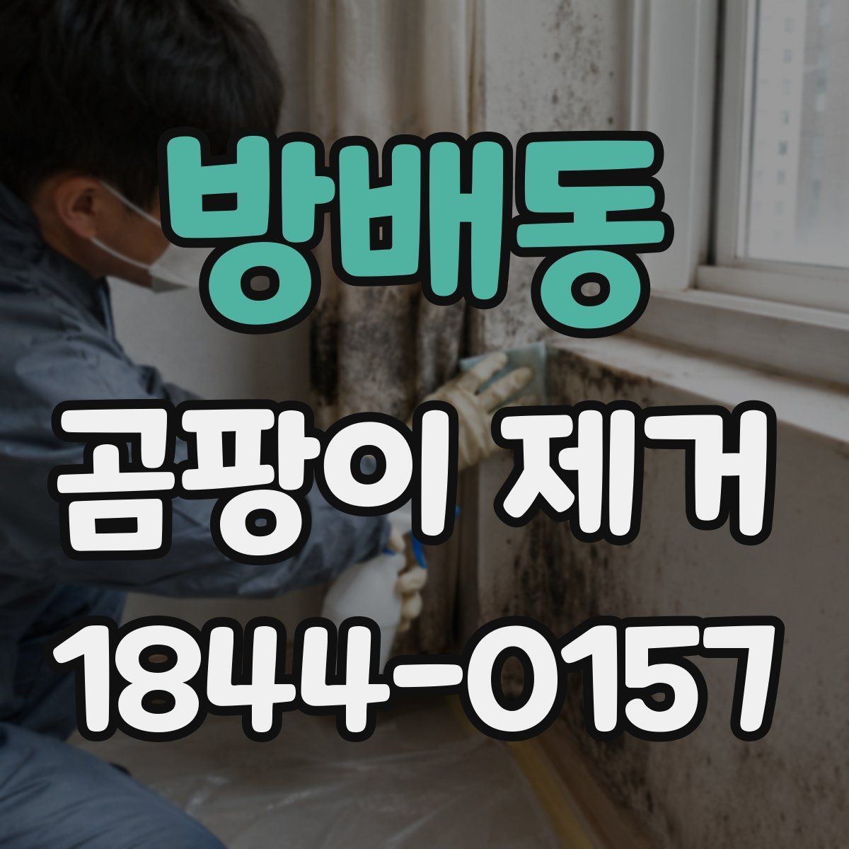 방배동 곰팡이 제거 벽지 교체 전 손상 범위 확인하기