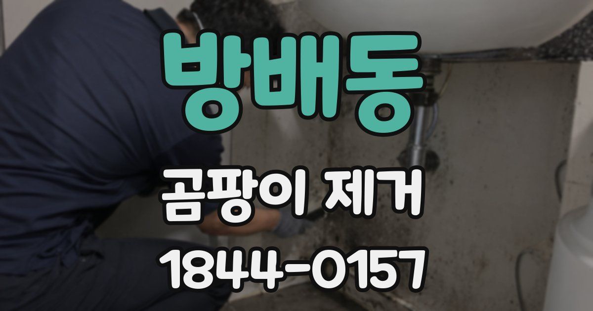 방배동 곰팡이 제거