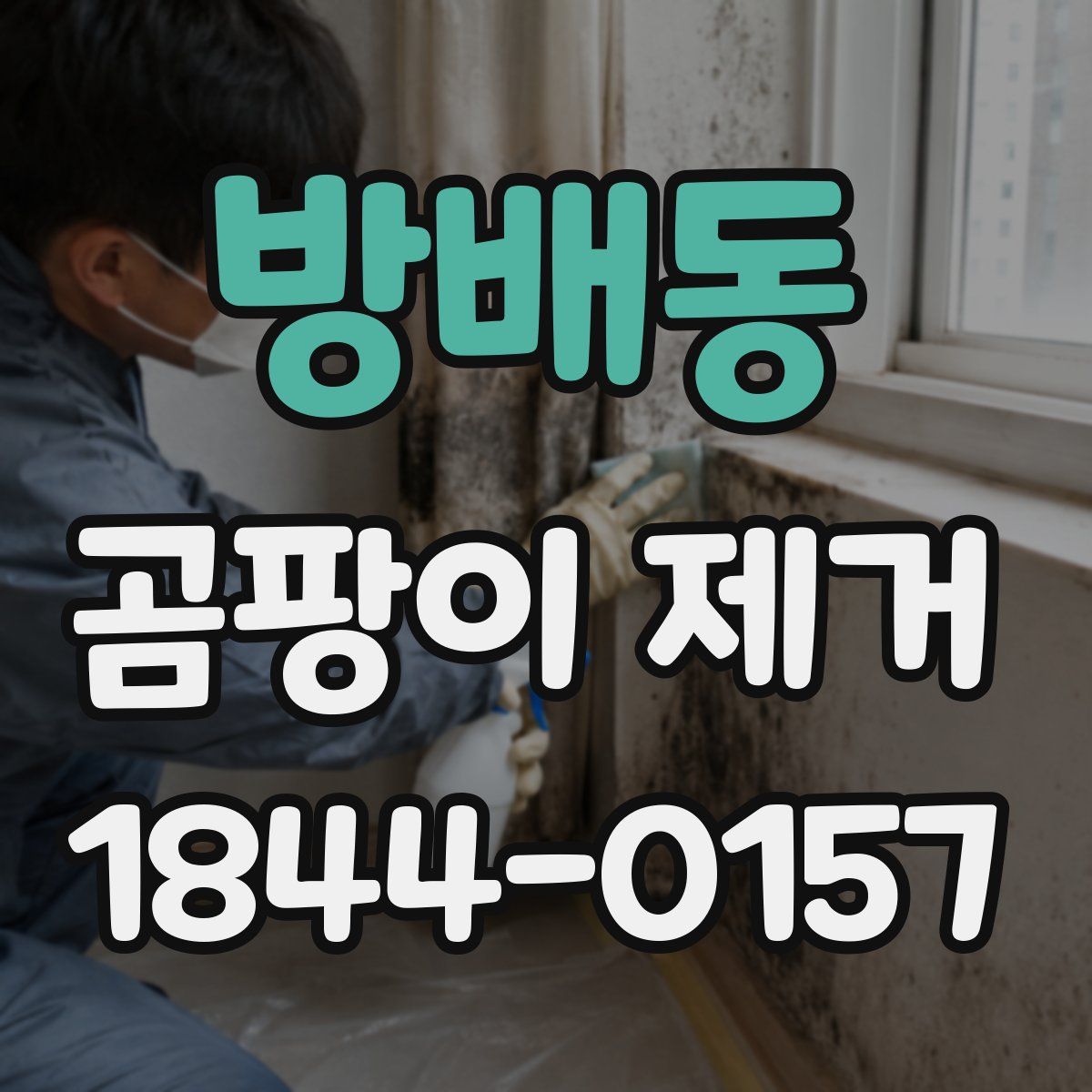 방배동 곰팡이 제거