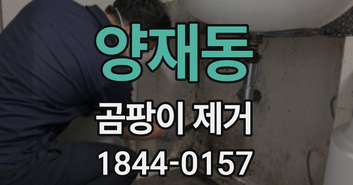 양재동 곰팡이 제거