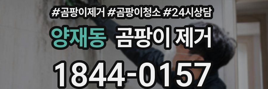 양재동 곰팡이 제거